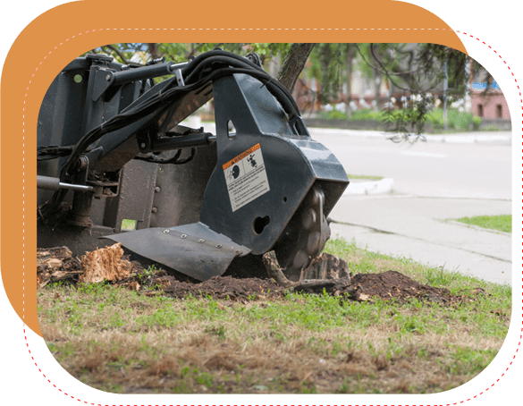 KB Stump Grinding and Wood Chipping, LLC